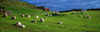 Co Cork, Beara Peninsula PosterPrint - Item # VARDPI1816867