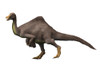 Deinocheirus is an ostrich-like dinosaur of the Late Cretaceous period Poster Print - Item # VARPSTNBT100168P