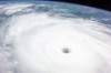 Hurricane Rita Poster Print