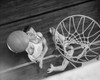 High angle view of two young men playing basketball Poster Print - Item # VARSAL25517192