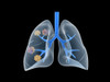 Conceptual image of human lungs Poster Print