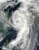 Tropical Storm Dianmu Poster Print
