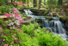 Waterfall with ferns and azaleas at Azalea Path Arboretum And Botanical Gardens, Hazleton, Gibson County, Indiana, USA Poster Print - Item # VARPPI169259