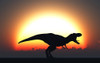 A T. Rex silhouetted against the setting Sun at the end of a prehistoric day Poster Print - Item # VARPSTMAS100231P