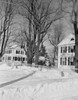 Winter town with bare trees and snow Poster Print - Item # VARSAL255423807