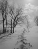 USA  New Jersey  Patterson  Rural scene in winter Poster Print - Item # VARSAL255423075