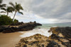 Hawaii, Maui, Makena Cove, Tropical beach and palm trees. PosterPrint - Item # VARDPI2116609