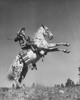 Cowboy riding a rearing horse Poster Print - Item # VARSAL2552758