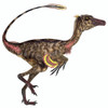 Troodon bird-like dinosaur. Troodon was a carnivorous small dinosaur that lived in North America during the Cretaceous Period Poster Print - Item # VARPSTCFR200532P