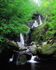 Torc Waterfall, Killarney, Co Kerry, Ireland PosterPrint - Item # VARDPI1801754