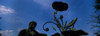 http://c328301.r1.cf1.rackcdn.com/PPI111349L.jpg