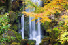 http://c328301.r1.cf1.rackcdn.com/DPI1871323LARGE.jpg