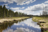 Clouds Reflected In A Tranquil River Lined With Trees; Thunder Bay, Ontario, Canada PosterPrint - Item # VARDPI1964070