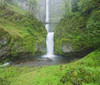 Oregon, United States Of America; Multnomah Falls In Spring In Columbia River Gorge PosterPrint - Item # VARDPI1875424