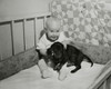 Baby playing with a puppy in a crib Poster Print - Item # VARSAL2559627