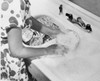 Mid section view of a young woman washing dishes Poster Print - Item # VARSAL25541971