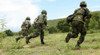 Hatyao Beach, Thailand, May 11, 2007 - Royal Thai Marines rush forward to secure the site during an amphibious raid exercise Poster Print - Item # VARPSTSTK102522M