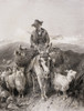 Young Granada Goatherder Riding A Donkey Amongst His Herd. From A Late 19Th Century Illustration After A Work By Richard Ansdell. From El Mundo Ilustrado, Published Barcelona, Circa 1880. PosterPrint - Item # VARDPI1958089