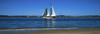 Sailboat in ocean, Provincetown, Cape Cod, Barnstable County, Massachusetts, USA Poster Print - Item # VARPPI158221