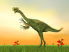 Gigantoraptor dinosaur on green grass by sunset Poster Print - Item # VARPSTEDV600133P