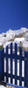 http://c328301.r1.cf1.rackcdn.com/PPI137904L.jpg
