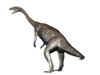 Anchisaurus is a prosauropod dinosaur from the Jurassic Period Poster Print - Item # VARPSTNBT600068P