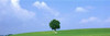 http://c328301.r1.cf1.rackcdn.com/PPI82073L.jpg