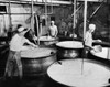 Three manual workers making cheese in a dairy factory Poster Print - Item # VARSAL25527052