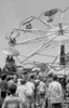 Tourists in amusement park Poster Print - Item # VARSAL255423949