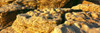 http://c328301.r1.cf1.rackcdn.com/PPI163933S.jpg