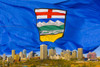 http://c328301.r1.cf1.rackcdn.com/DPI1779175LARGE.jpg