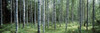 http://c328301.r1.cf1.rackcdn.com/PPI43769S.jpg