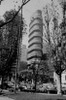 Brazil  Sao Paulo  skyscraper Poster Print - Item # VARSAL255423475