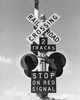 Close-up of a railroad crossing sign Poster Print - Item # VARSAL25540740