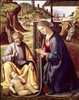 The Birth of Christ  Sebastiano Mainardi Poster Print - Item # VARSAL900103318