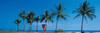 http://c328301.r1.cf1.rackcdn.com/PPI65749S.jpg