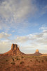 http://c328301.r1.cf1.rackcdn.com/DPI2305037LARGE.jpg