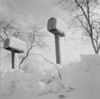 Rural mail boxes in snow Poster Print