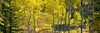 http://c328301.r1.cf1.rackcdn.com/PPI163943S.jpg