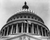Low angle view of a government building  Capitol Building  Washington DC  USA Poster Print - Item # VARSAL9901218