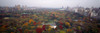 Trees in a park, Central Park, Manhattan, New York City, New York State, USA Poster Print - Item # VARPPI41221 Trees in a park, Central Park, Manhattan, New York City, New York State, USA Poster Print - Item # VARPPI41221