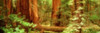 http://c328301.r1.cf1.rackcdn.com/PPI32112L.jpg
