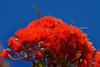 http://c328301.r1.cf1.rackcdn.com/PDDAF42DWA0153B.jpg