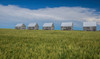 Five granaries on wheat field, Alberta, Canada Poster Print - Item # VARPPI166915