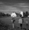 Mailboxex in rural scenery Poster Print - Item # VARSAL255418256