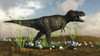 Tyrannosaurus Rex walking across desert terrain Poster Print - Item # VARPSTKVA600644P