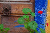 http://c328301.r1.cf1.rackcdn.com/PDDEU12DGU0264B.jpg