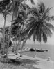 Pier  palm trees and sea Poster Print - Item # VARSAL255418526