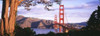 http://c328301.r1.cf1.rackcdn.com/PPI74256S.jpg