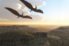 Two Pterodactyl flying dinosaurs soar above a beautiful canyon Poster Print - Item # VARPSTCFR200024P